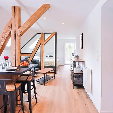 Appartements Les Vosges Orbey Exterior photo