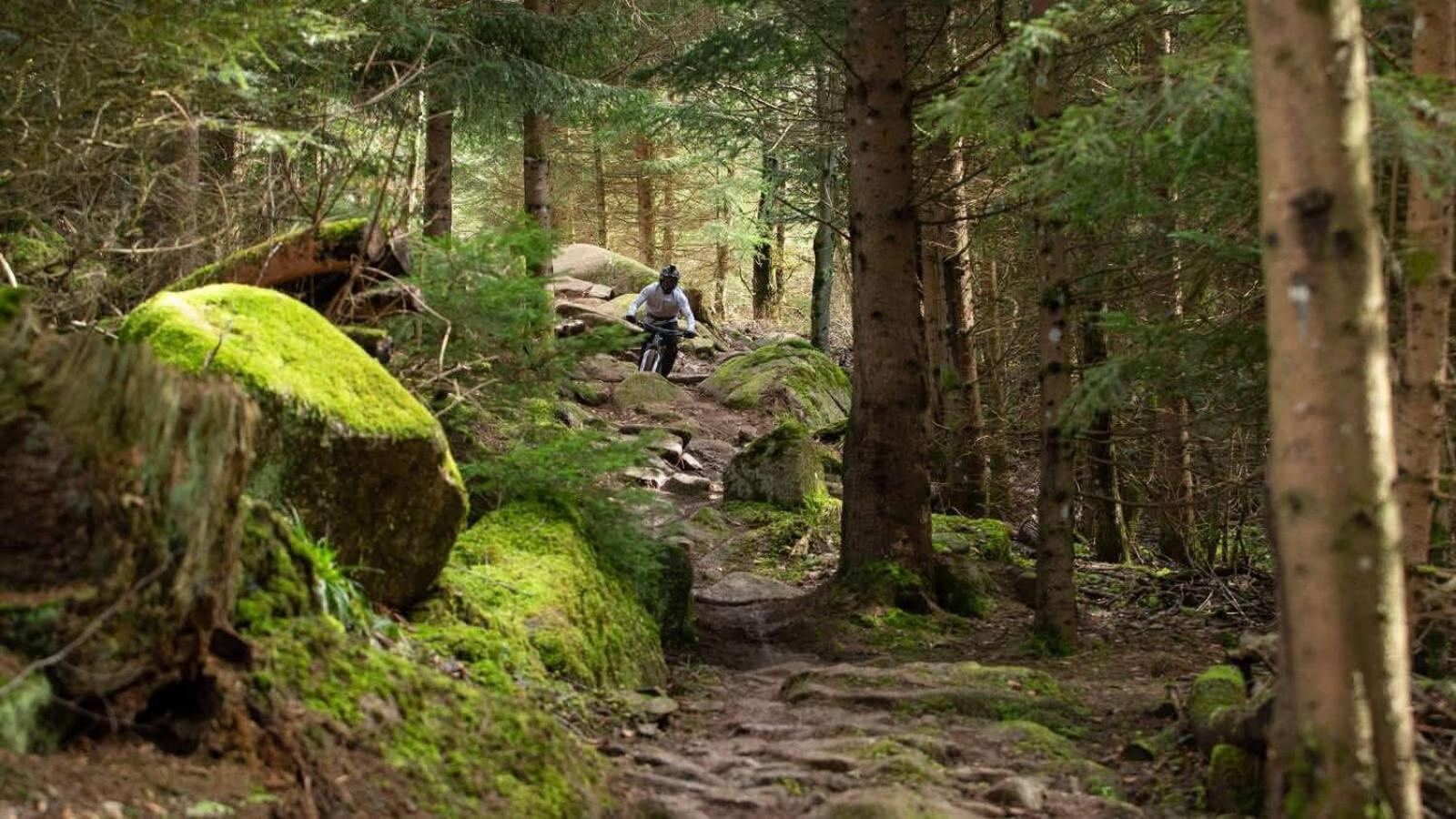 Les Vosges
