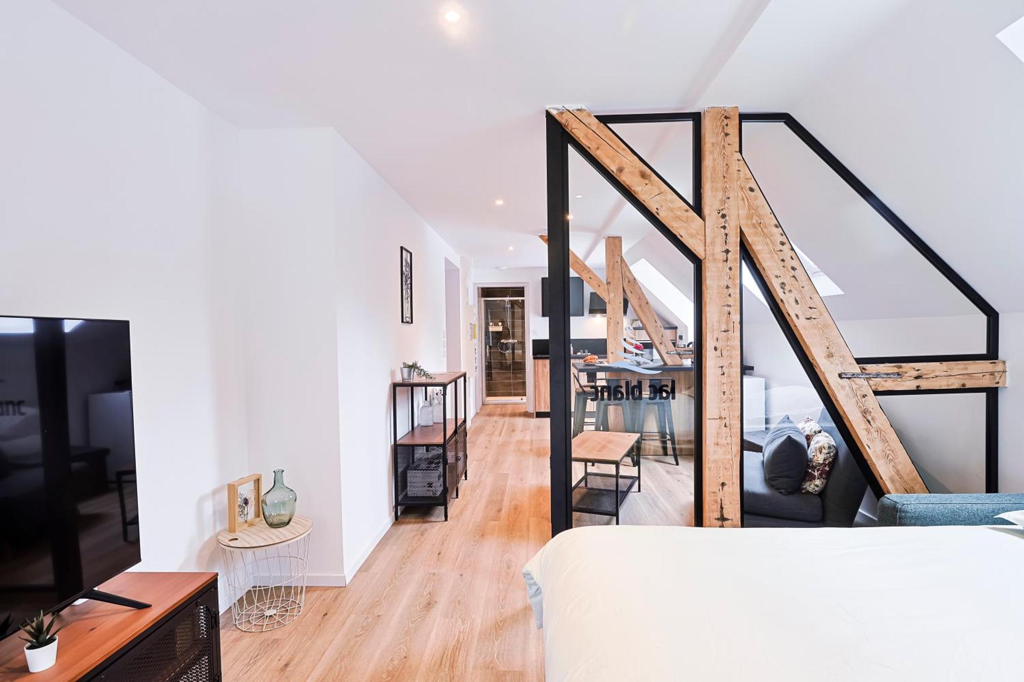 Les Vosges Apartment Orbey